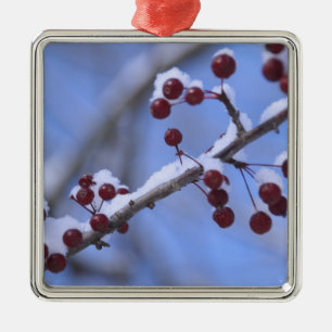 USA, New England, Massachusetts, Reading, 3 Metalen Ornament