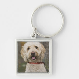 USA, New England, Massachusetts, Reading, Sleutelhanger