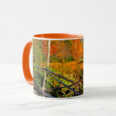 USA, New England, New Hampshire, Chocorua Mok (Voorkant links)