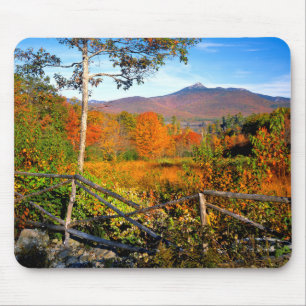 USA, New England, New Hampshire, Chocorua Muismat
