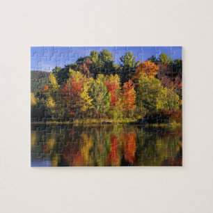 USA, New Hampshire, Moultonborough. Bomen in Legpuzzel