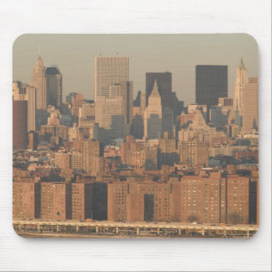 USA, New York, New York City, Manhattan: 12 Muismat