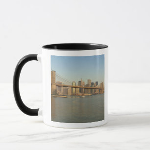 USA, New York, New York City, Manhattan: 13 Mok