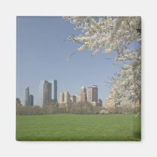 USA, New York, New York City, Manhattan: 19 Magneet