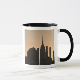 USA, New York, New York City, Manhattan: 23 Mok