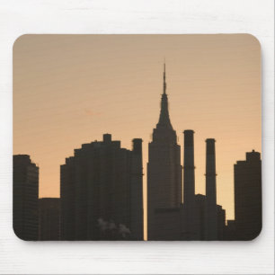 USA, New York, New York City, Manhattan: 23 Muismat