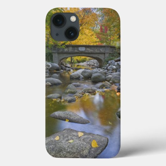USA, Oregon, Ashland, Lithia Park. Autumn Case-Mate iPhone Case (Achterkant)