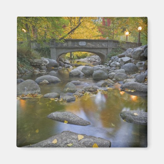 USA, Oregon, Ashland, Lithia Park. Autumn Magneet (Voorkant)