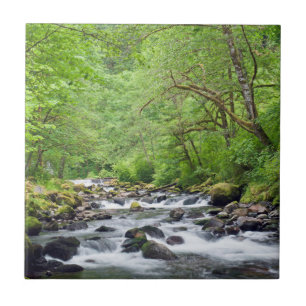 USA, Oregon, Columbia River Gorge, Tanner Creek 4 Tegeltje