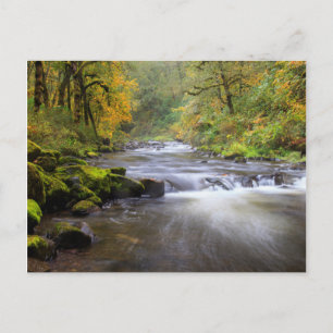 USA, Oregon, Columbia River Gorge, Tanner Creek Briefkaart