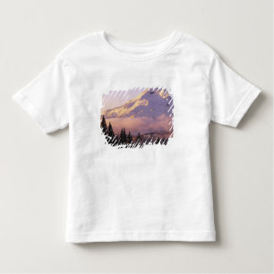 USA, Oregon, deschutes National Forest, The Kinder Shirts