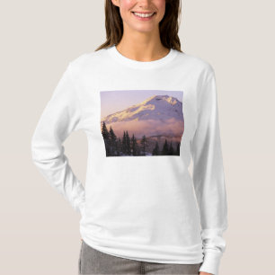 USA, Oregon, deschutes National Forest, The T-shirt