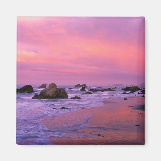 USA, Oregon, Harris State Beach, Brookings. Magneet (Voorkant)