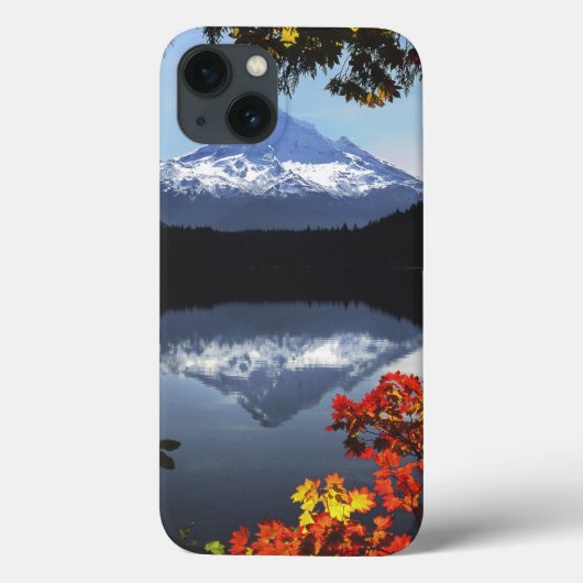 USA, Oregon, Mt. Hood National Forest. Case-Mate iPhone Case (Achterkant)
