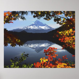 USA, Oregon, Mt. Hood National Forest. Poster