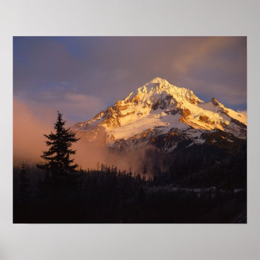 USA, Oregon, Mt. Hood National Forest. Rolling Poster (Voorkant)