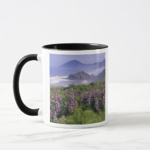 USA, Oregon, Nesika Beach. Lupine en Oregon Mok