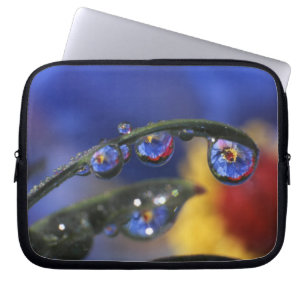 USA, Oregon, Portland, Close of ladybird Laptop Sleeve
