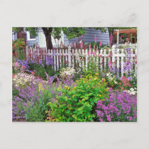 USA, Oregon, Portland. Explosie van Springtime Briefkaart