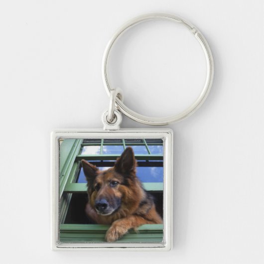 USA, Oregon, Portland. Griff the long-hair Sleutelhanger (Voorkant)