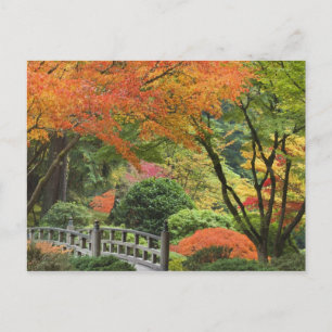 USA, Oregon, Portland. Houten brug en esdoorn Briefkaart