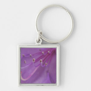 USA, Oregon, Portland. Sluiting van een Sleutelhanger