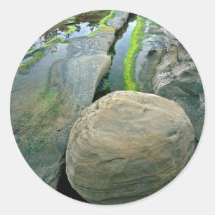 USA, Oregon, Shore Acres State Park Ronde Sticker