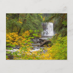 USA, Oregon, Silver Herfsten State Park 2 Briefkaart