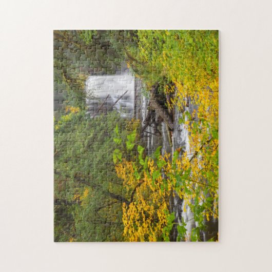 USA, Oregon, Silver Herfsten State Park 2 Legpuzzel (Verticaal)