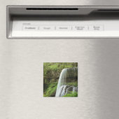 USA, Oregon, Silver Herfsten State Park. Onderste Magneet (Insitu (Vaatwasser))