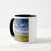 USA, Oregon, Steens Mountain. Lentetrankkers Mok (Voorkant links)