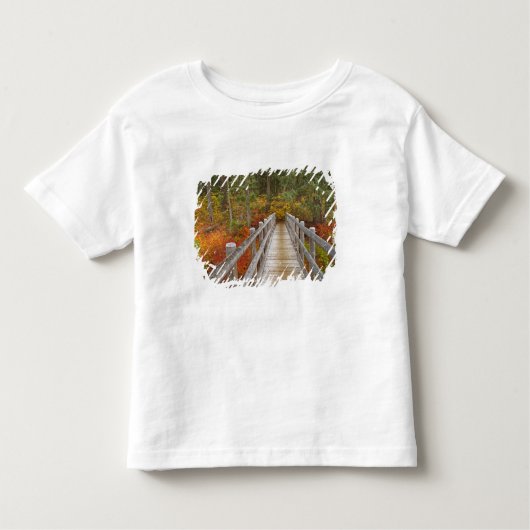 USA, Oregon, Willamette National Forest. Kinder Shirts (Voorkant)
