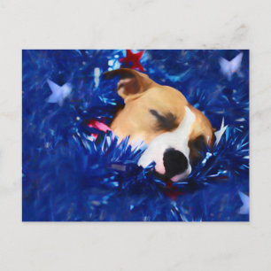 USA Patriotic Dog American Pit Bull Terrier Briefkaart