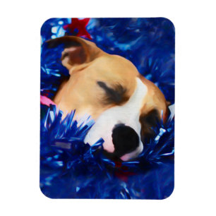 USA Patriotic Dog American Pit Bull Terrier Magneet