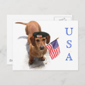 USA Patriotic teckel briefkaart (Voorkant / Achterkant)