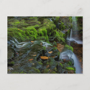 USA, Pennsylvania, Benton, Ricketts Glen State Briefkaart