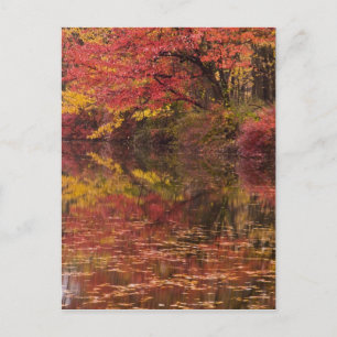 USA, Pennsylvania, Delaware Water Gap National Briefkaart