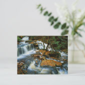 USA, Pennsylvania, Ricketts Glen State Park Briefkaart (Staand voorkant)