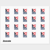 usa ronde sticker (Vel)