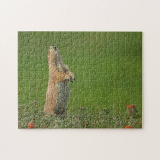 USA, South Dakota, Custer State Park Legpuzzel (Horizontaal)