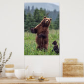 USA, Southeast Alaska, Brown Bear and cub Poster (Keuken)