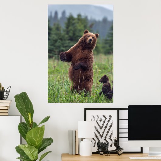 USA, Southeast Alaska, Brown Bear and cub Poster (Thuiskantoor)