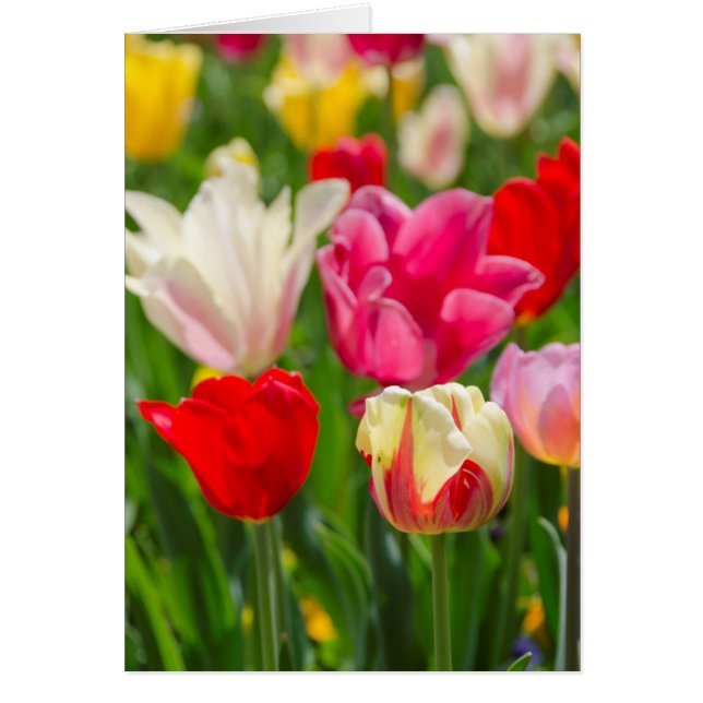 USA, Tennessee, Nashville (Devant)