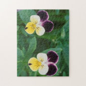 USA, Utah, Cache Valley, Johnny Jump Up Legpuzzel (Verticaal)