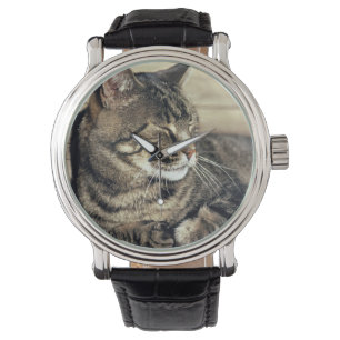 USA, Utah, Capitol Reef NP. Slaptende kat Horloge