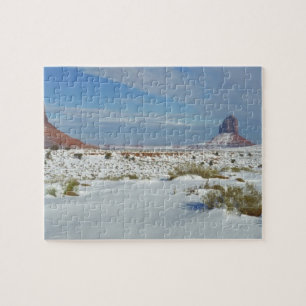 USA, Utah, Monument Valley. Sagebrush-shows Legpuzzel