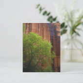 USA, Utah, Paria Canyon-Vermillion Cliffs Briefkaart (Staand voorkant)