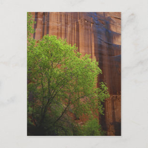 USA, Utah, Paria Canyon-Vermillion Cliffs Briefkaart