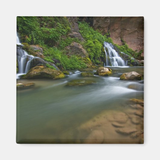 USA, Utah, Zion National Park. De maagd Magneet (Voorkant)