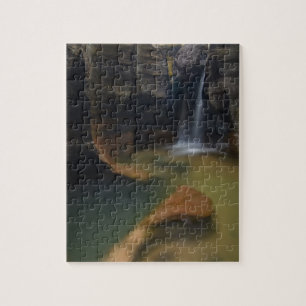 USA, Utah, Zion National Park. Herfsten met openi Legpuzzel